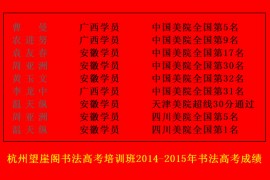 杭州望崖阁书法高考培训班2014-2015届学生书法高考成绩